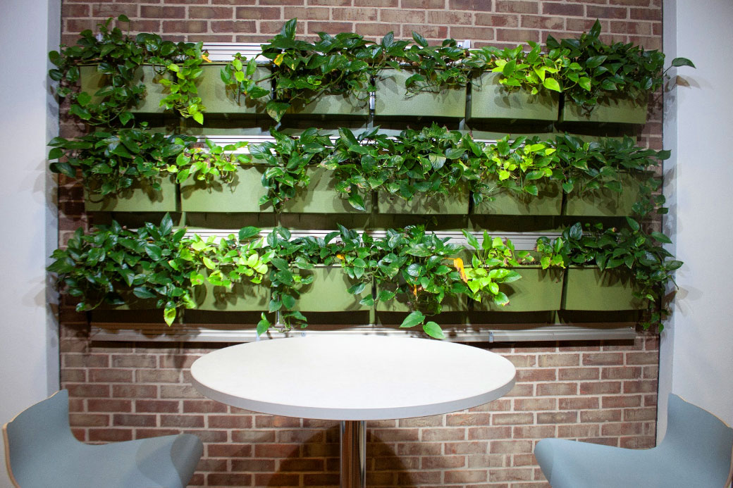 WCC Living Wall, TI building